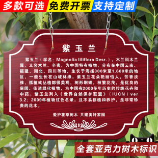 亚克力树木标识挂牌学校公园植树节树牌植物绿化园林果树信息悬挂吊牌卡信息牌铭牌树木介绍爱护花草提示标牌