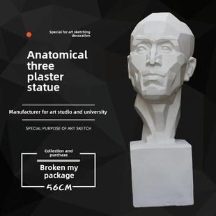 石膏人头像解剖三解剖切面人头模型美术教具用品雕塑摆件绘画写生
