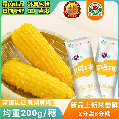 露茵】富硒非转基因黄糯玉米乳期香糯精选老人早餐代餐200g*20穗