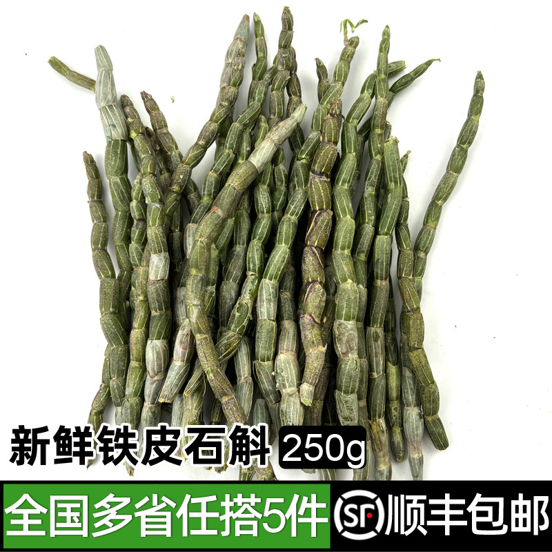 新鲜铁皮石斛250g 煲汤泡茶榨汁食材 铁皮鲜条 满5件包邮