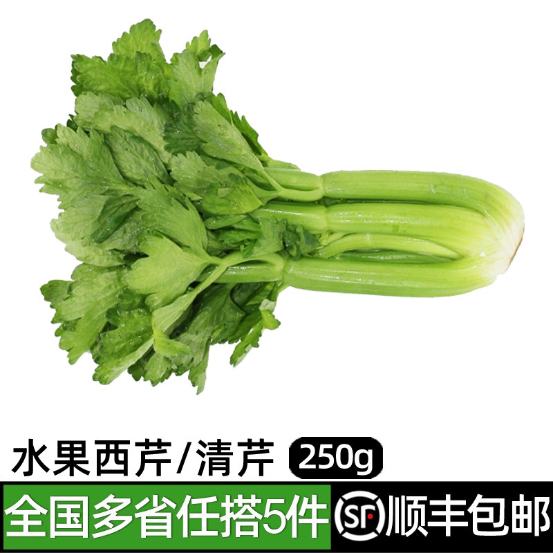 新鲜水果西芹250g 荷兰清芹 榨汁生吃蔬菜清甜爽口 满5件包邮