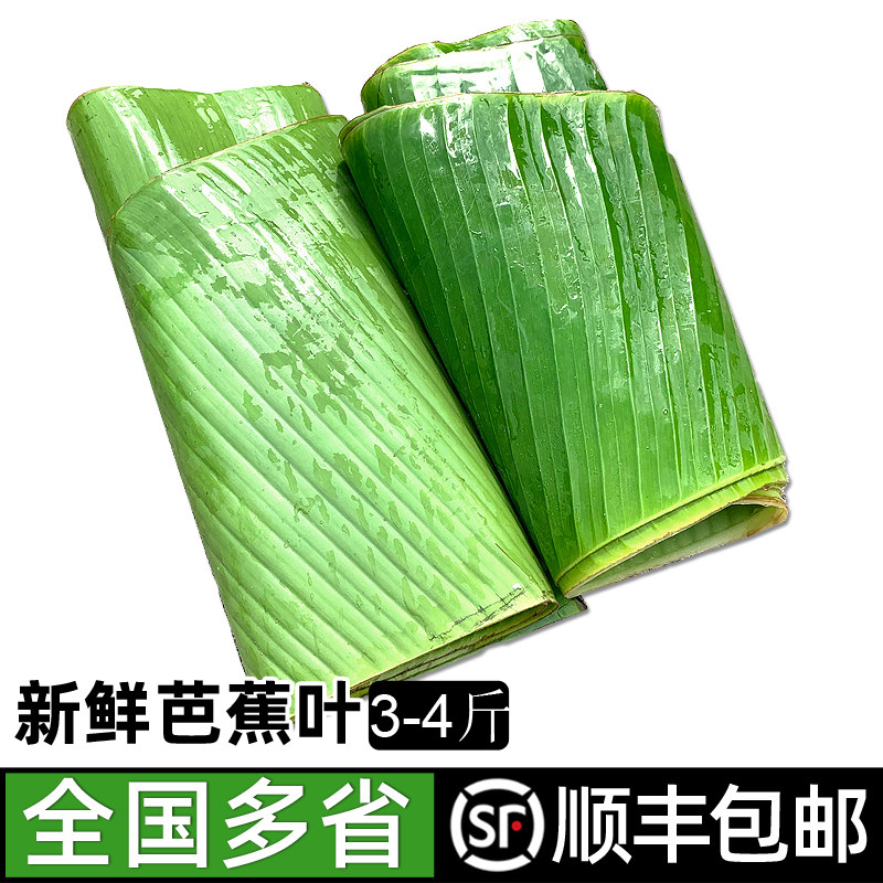 新鲜芭蕉叶3-4斤 香蕉叶 做糍粑粽子糕点烧烤摆盘食材香料