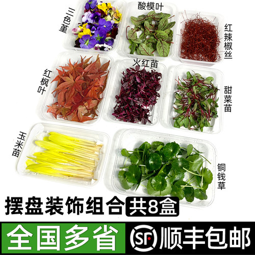 8种摆盘装饰套餐 三色堇酸模叶火红苗玉米苗甜菜苗铜钱草顺丰包邮