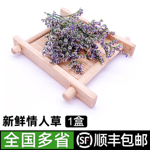 盒 包邮 酒店西餐料理冷艺点缀摆盘装 顺丰 饰花草 新鲜情人草5g