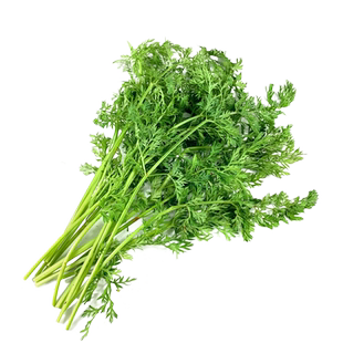 新鲜胡萝卜叶子3斤 新鲜现摘萝卜叶萝卜缨子新鲜蔬菜胡萝卜叶包邮