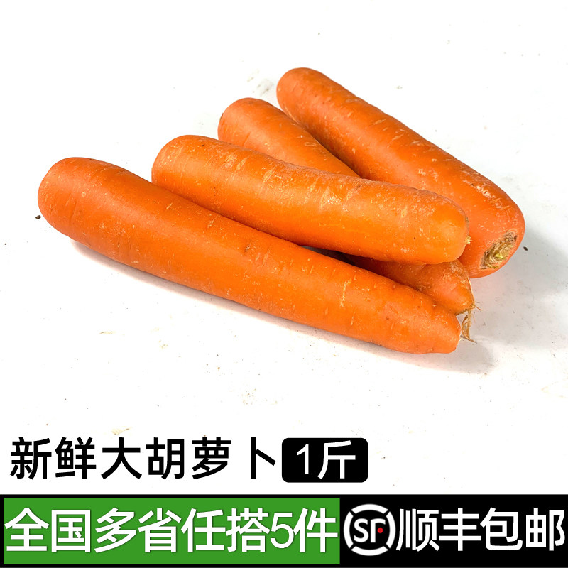 新鲜大胡萝卜500g 时令蔬菜红萝卜生吃甜脆炒菜配料食材 - 实物图