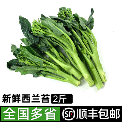 新鲜西兰苔绿食者清脆爽口