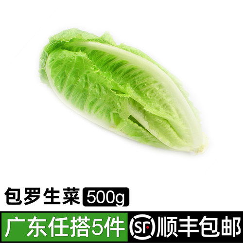 新鲜包罗生菜500g包心凉拌西餐