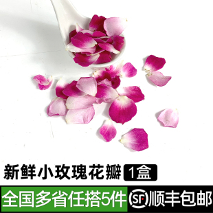 包邮 新鲜小玫瑰花瓣1盒装 5件 饰日料冷艺摆设食材 餐厅酒店摆盘装
