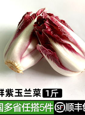 绿食者 紫玉兰菜500g新鲜蔬菜芽球菊苣chicory比利时沙拉西餐食材