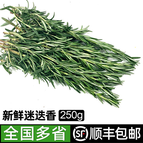 迷失烧烤烘焙煎牛排新鲜迷迭香