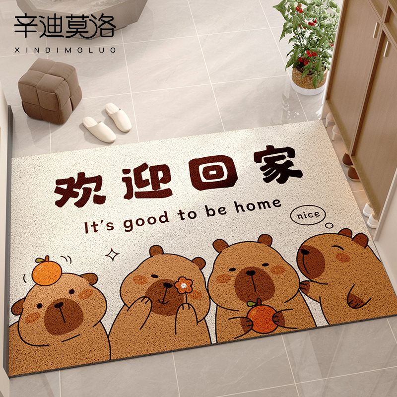 高级感防滑免洗家用高端丝圈门垫