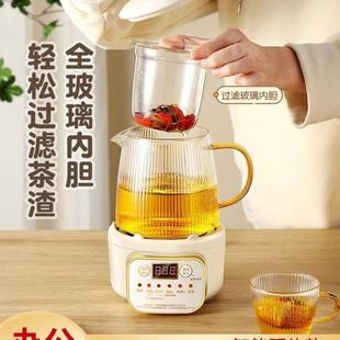 烧 迷你养生壶家用多功能办公室小型一人煮茶壶煮茶器新款