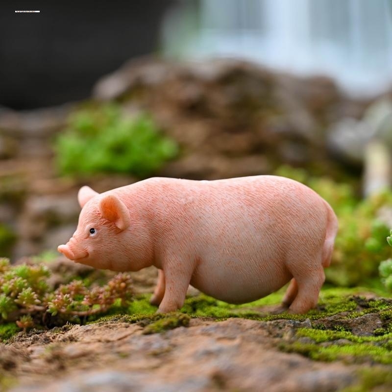 微景观装饰素材水路缸生态缸苔藓盆栽花卉多肉手办模型微缩动物猪