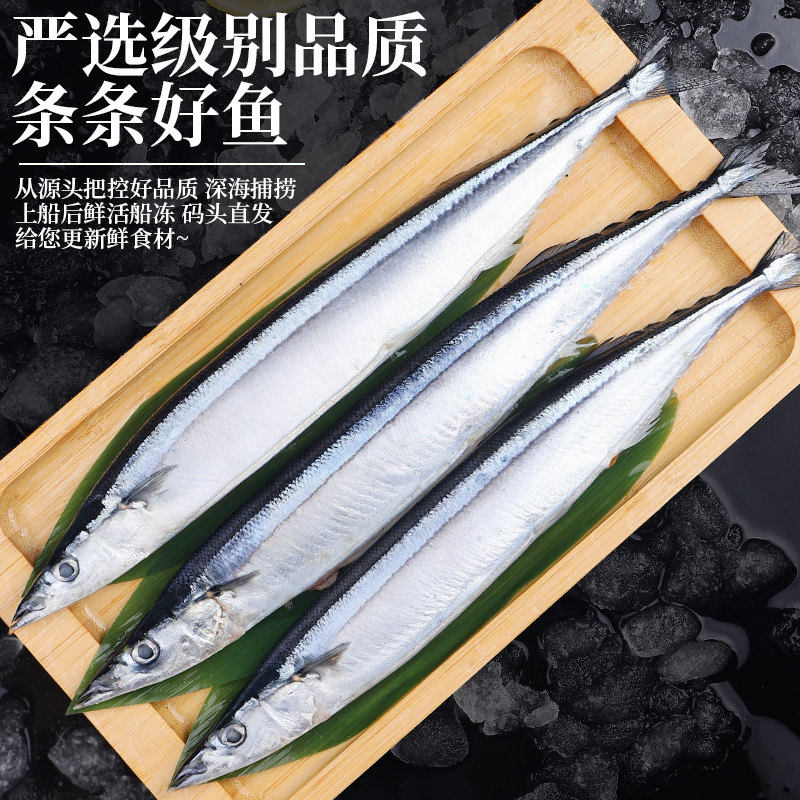 秋刀鱼新鲜冷冻3斤特大鲜活海鱼图片