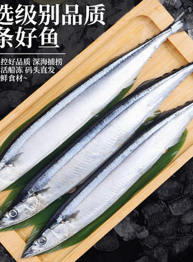 秋刀鱼新鲜冷冻3斤特大鲜活海鱼