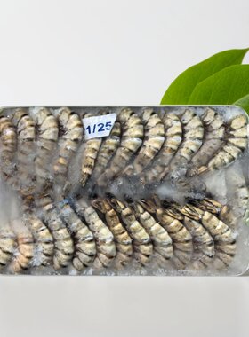 缅甸无头虾去头黑虎虾野生海捕对虾船冻大虾白虾青虾天妇罗虾包邮