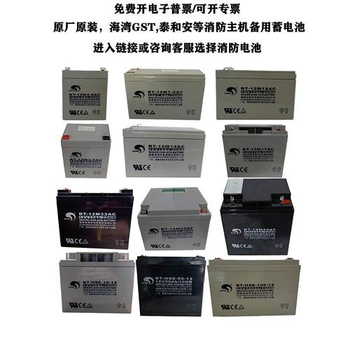 海湾气体灭火控制火灾报警控制器消防壁挂主机紧急电源备用蓄电池