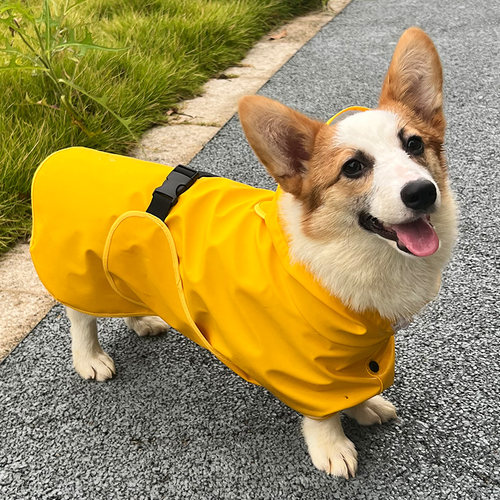 啵啵狗狗狗PU皮防水雨衣雨天遛狗