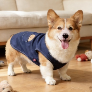 狗狗衣服秋冬季牛仔加绒马甲外套保暖柯基泰迪柴犬边牧冬装春可爱