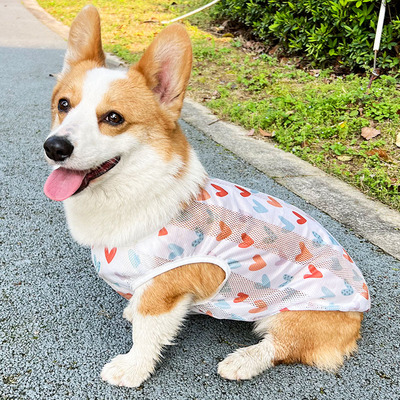 狗狗背心宠物夏季薄款舒适防掉毛