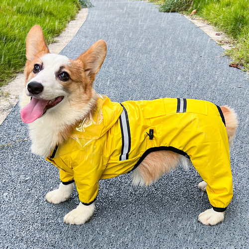 啵啵狗狗狗防水四脚雨衣