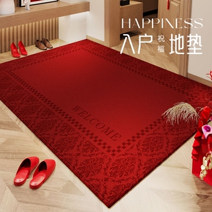 入户门口外地垫耐脏免洗入户地垫2026新款高级感进门大门口耐脏防