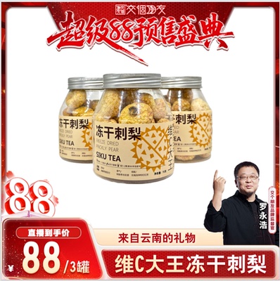 冻干刺梨维C大王水果茶