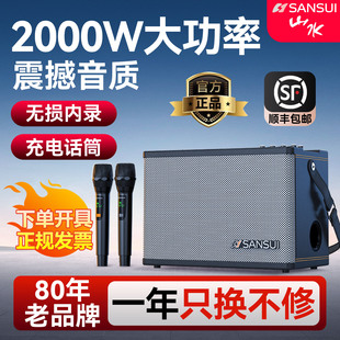 山水SS190 Pro音响户外K歌乐器音箱大功率广场舞带话筒带声卡直播