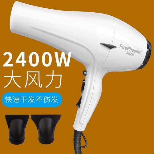火之凤3100H3300H电吹风机发廊