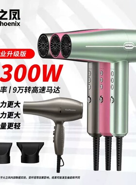 火之凤吹风机M3理发店发廊发型师专用大功率负离子高速电吹风