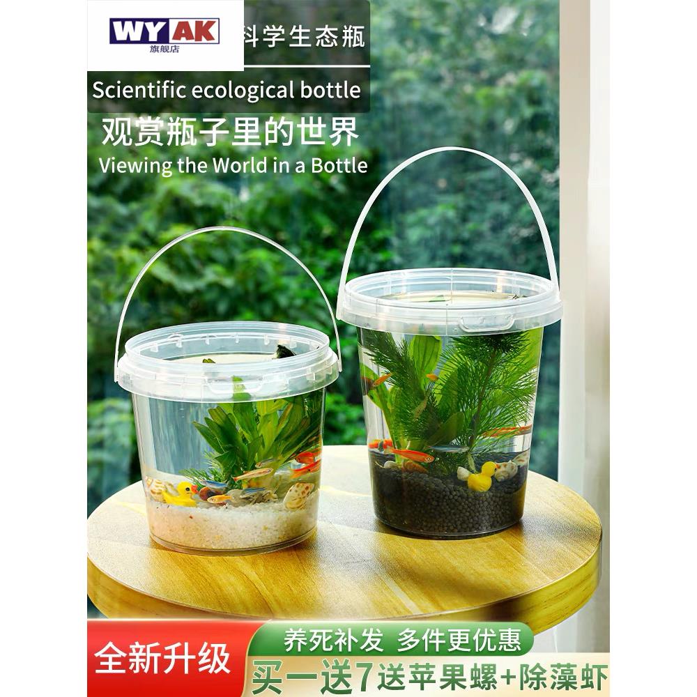 微景观小鱼生态瓶手提塑料淡水冷水观赏鱼虾真水草学校