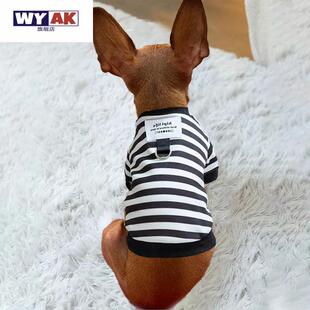 小体狗衣服迷你杜宾小鹿犬专用带牵引绳环秋冬天冬季鹿娃犬秋装