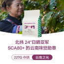 咖啡豆中烘拿铁美式 IRIS云南之光SOE天皓庄园日晒组亚军意式 冷萃