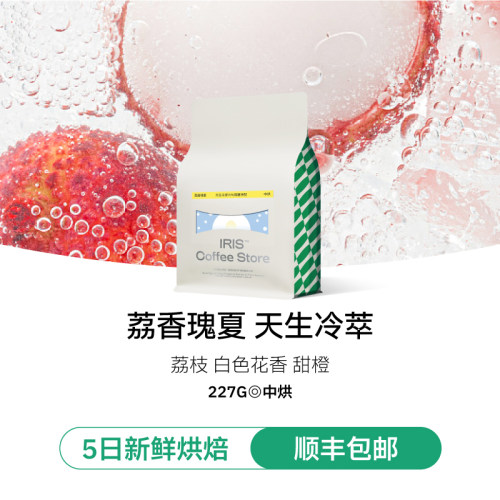 IRIS咖啡冷萃专用咖啡豆