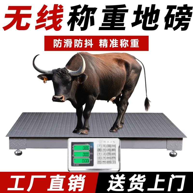 上海耀华电子地磅秤1-3吨高精度5吨称猪牛羊养殖秤商用电子秤斜