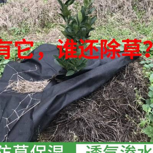 防草布除草布农用果n园果树耐用抗老化全新料园艺地布新型生态地o