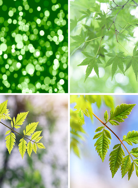 斑驳虚化朦胧感绿色光圈背景布摄影道具男女主播抖音3d立体壁纸画直播间静物拍摄产品拍照古风春天风景红色