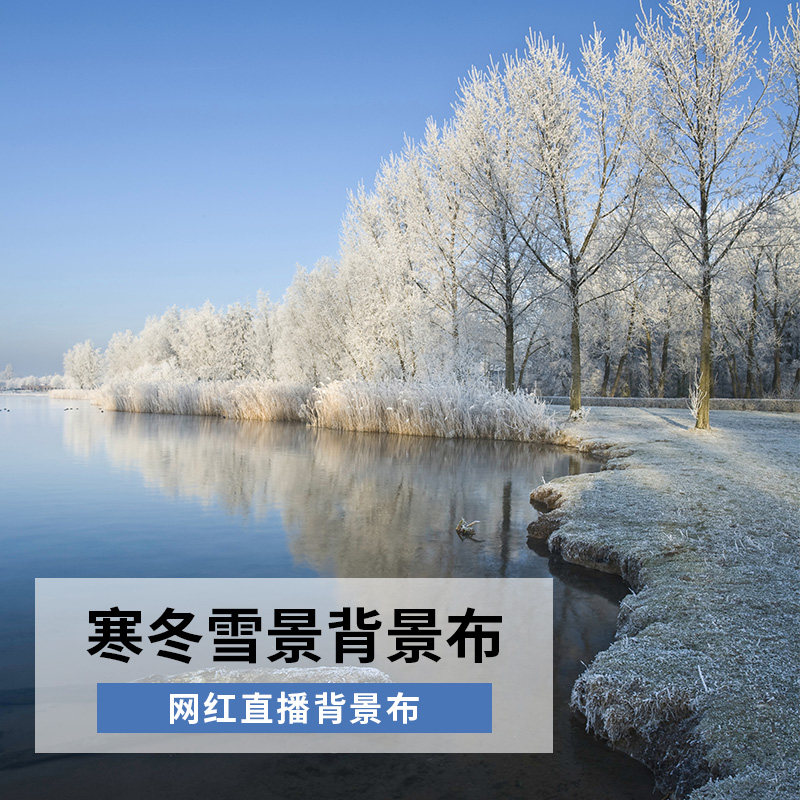 雪景背景布高级感3D立体背景布直播背景布婚纱背景布网红背景布拍照