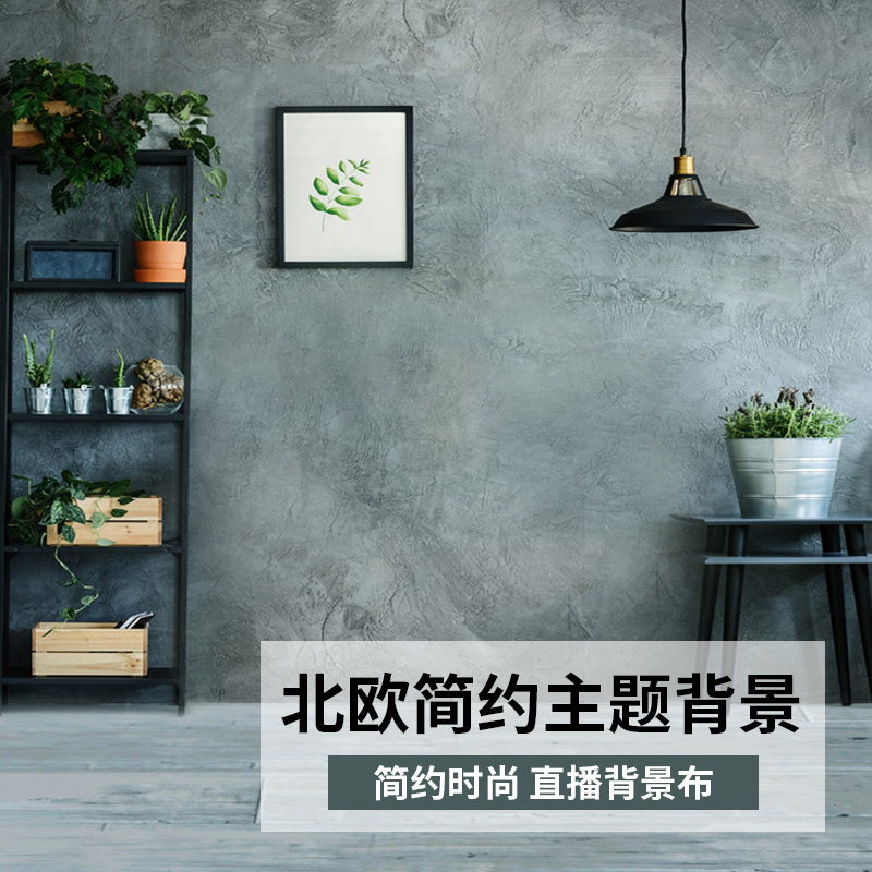 广旋高清简约新主直播背景布3D立体北欧风网红淘宝服装豪华大气内简约拍照ins3D立体拍摄