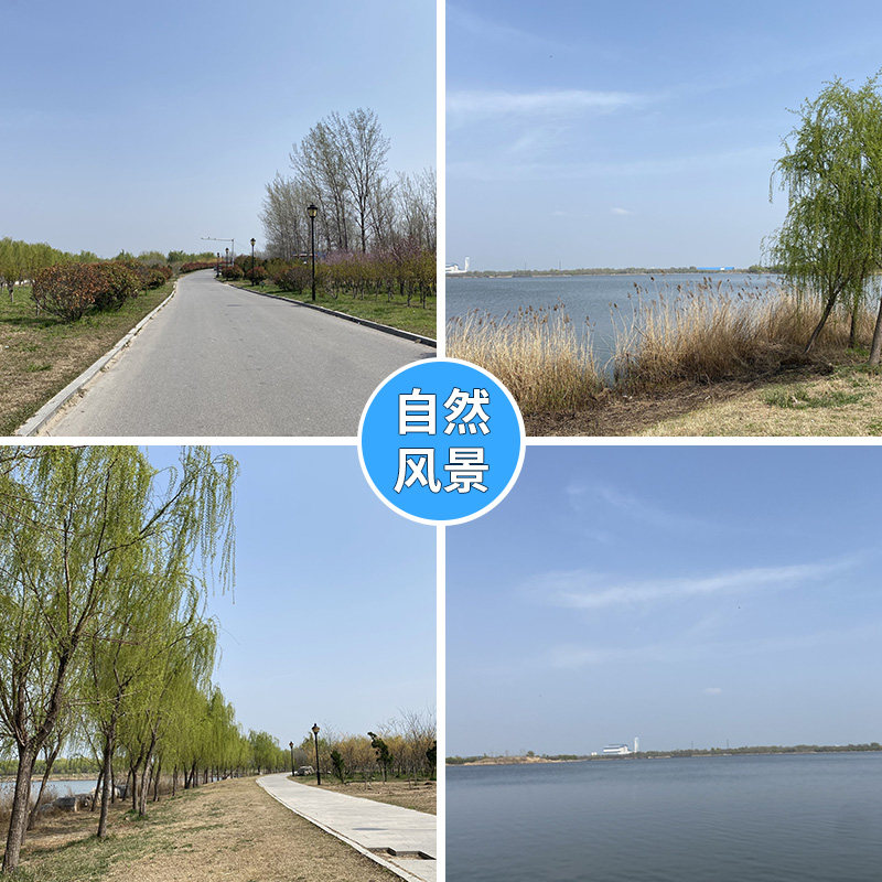 布背景墙河边烧烤阳光美景春天春游直播背景布3d立体高级感装饰背景布