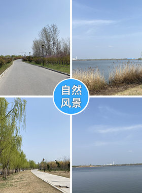 八里柳树桃花直播背景布3d立体