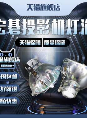 Acer宏碁/宏基PD100D/PD100P/PD100S/PD100PD/PD113P/PD115/PD116P/PD120D/PD120P/PD123/PD123D投影机仪灯泡