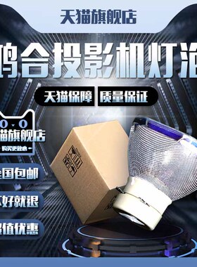 HiteVision鸿合HT-LQ200/LQ300/L250/L260/M500/M600/M650/B10/B50/L25/L26/L30投影机仪灯泡