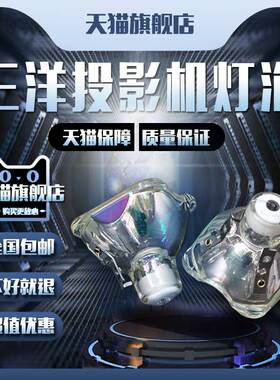 SANYO三洋PLC-XU300/XU350/XU305/XU301/WXU300/UX355/XU100/XU110/XW60/XW60W/XW65/XW65K投影机仪灯泡