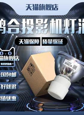 HiteVision鸿合HT-V25W/HT-V25/HT-V20W/HT-V25P/HT-V20/HT-V27W/HT-D486投影机仪灯泡