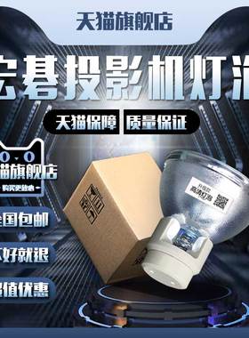 Acer宏基X110P/TX540/TX542/P1166/P1166P/P1266/P1266P/P1266i/X110/EX541i/EX542i/DB2401投影机仪灯泡