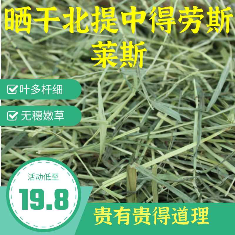 20年新晒干北提摩西草干草兔子龙猫豚鼠荷兰猪饲料牧草1000g包邮