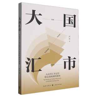 视角 人民币汇率定价和交易机制 新华书店正版 大国汇市