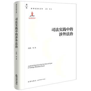 司法实践中 涉外法治